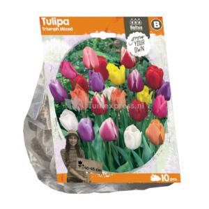 Baltus Tulipa Triumph Mixed tulpen bloembollen per 10 stuks